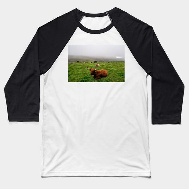 Highland cattle on the misty coast of Islay, Scotland Baseball T-Shirt by richflintphoto